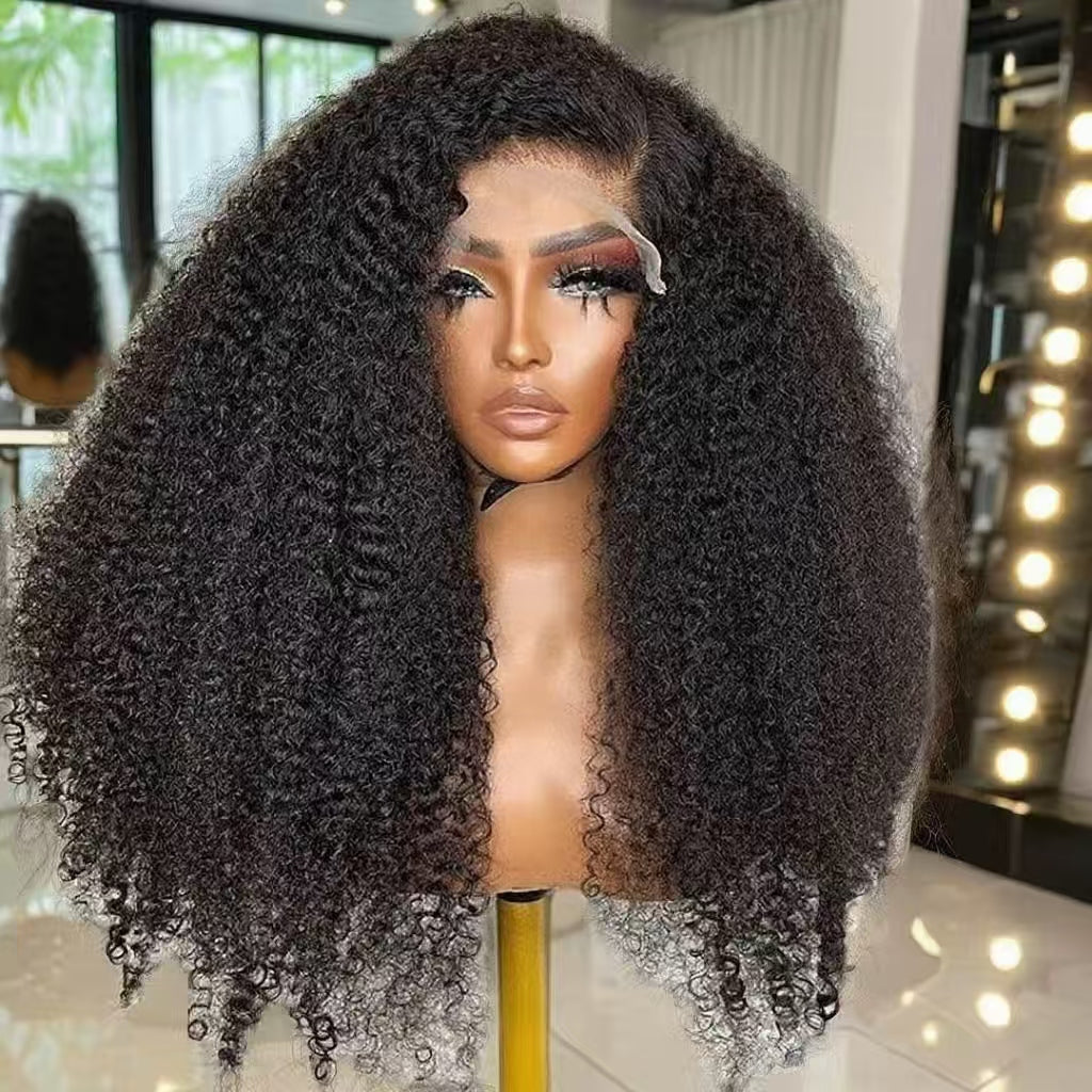 Samuel Hair Transparent Lace Wig, 12-30inch Afro Curly Virgin Human Hair Wig